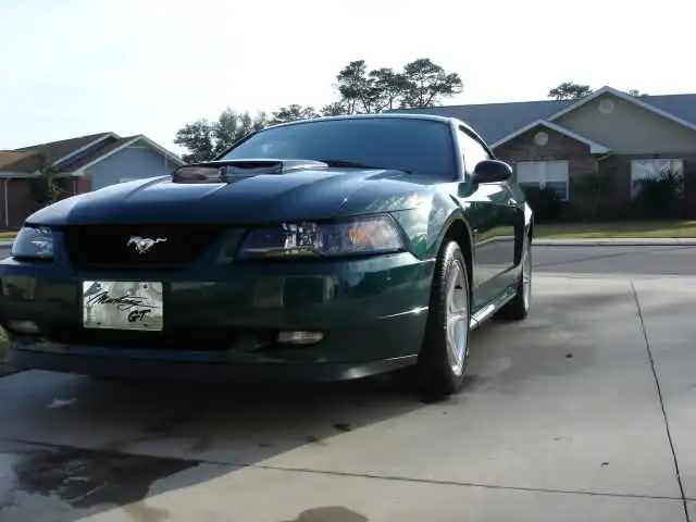 vfz9s9.webp
