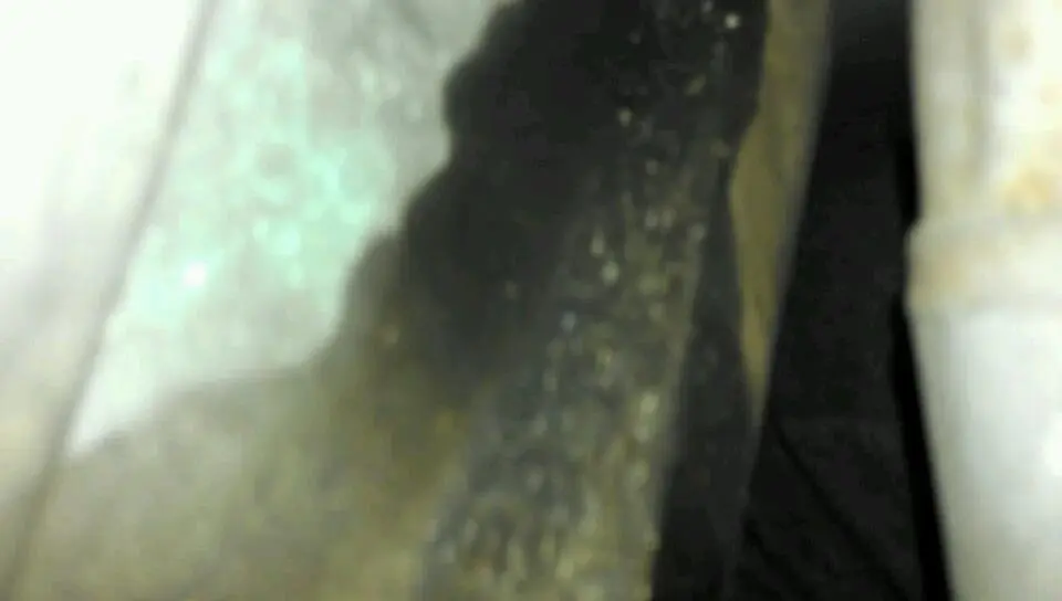VIDEO0044_0000025177.webp