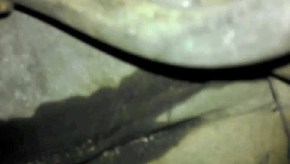 VIDEO0044_0000029573.webp