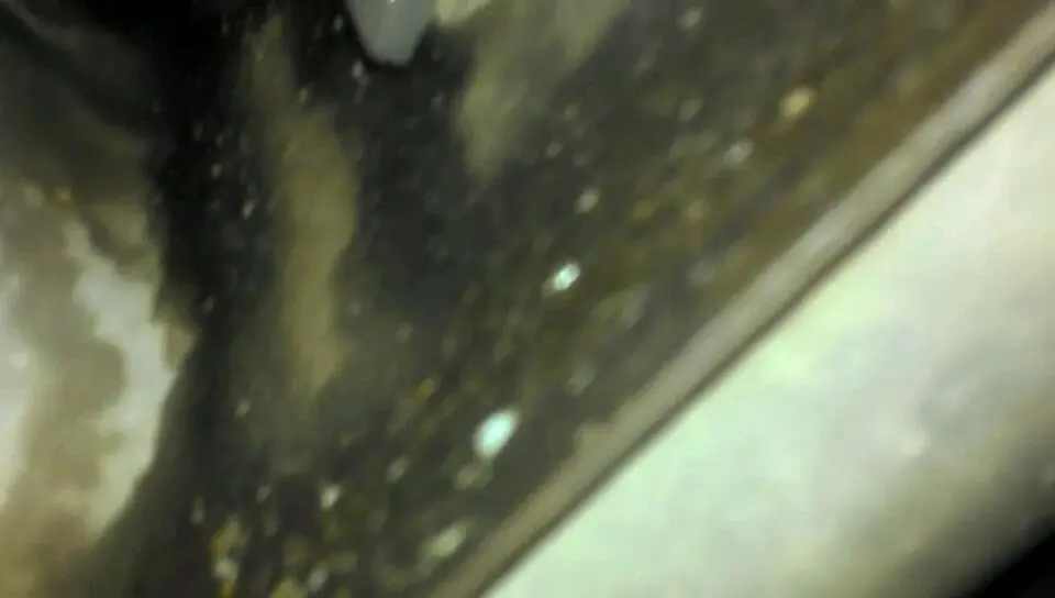 VIDEO0044_0000033370.webp