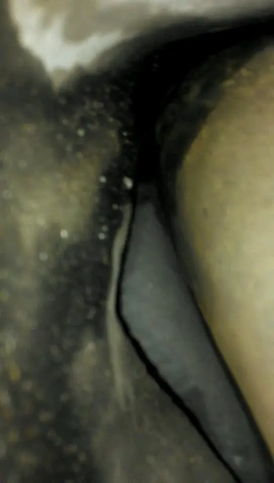 VIDEO0045_0000013870.webp