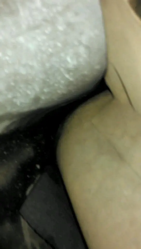 VIDEO0045_0000042141.webp