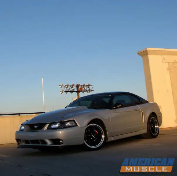 viewsingle24.webp