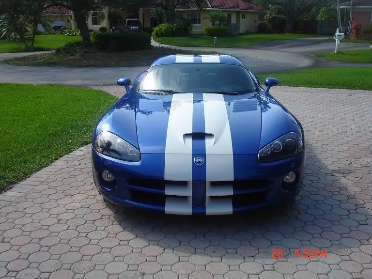 Viper_4.webp