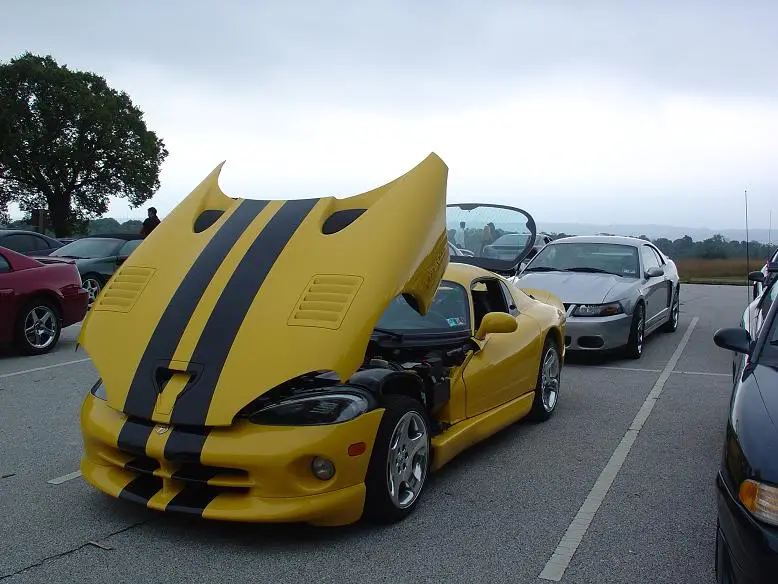 ViperandCobra.webp