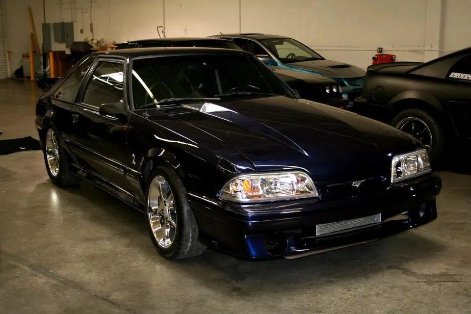 vxjm6q.webp