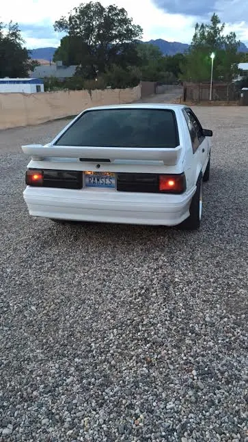 w mustang 1.webp