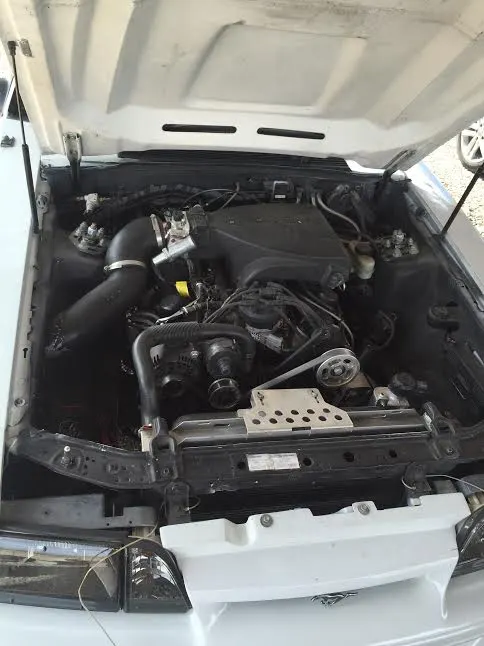 w mustang 2.webp