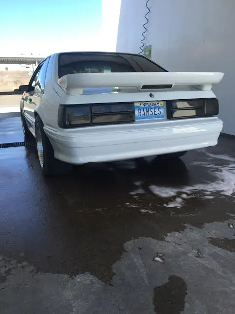 w mustang 4.webp