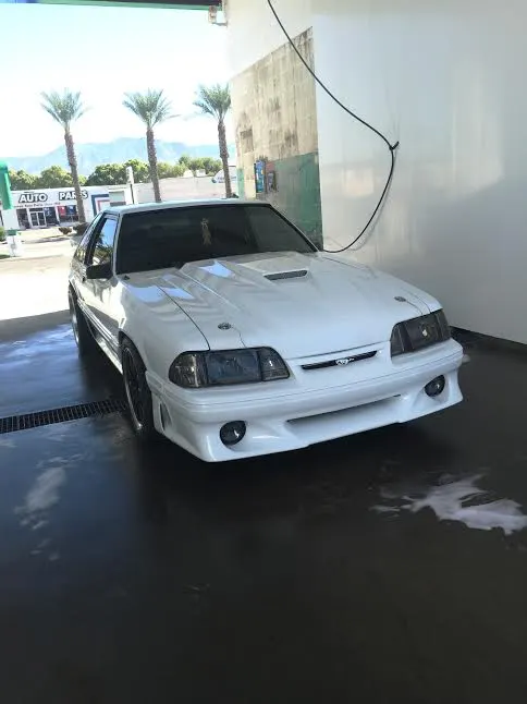 w mustang 5.webp