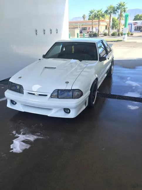 w mustang 6.webp