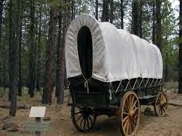 waggon.webp