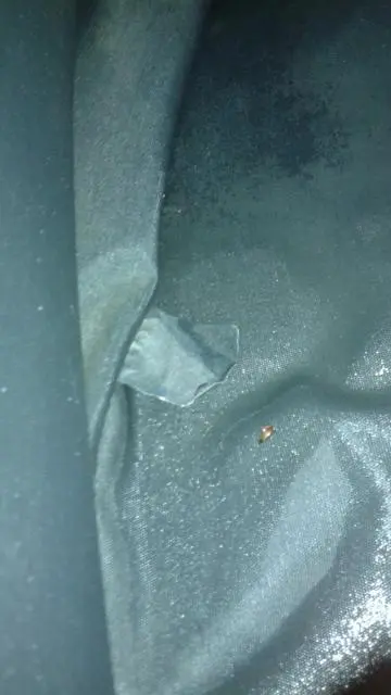 water in backseat 2.webp