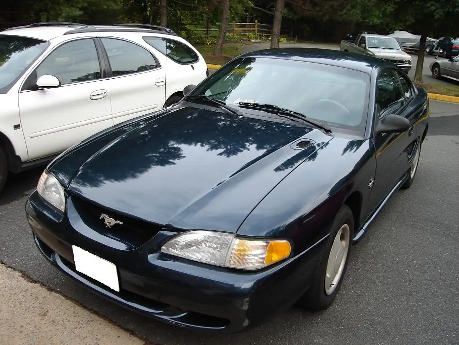 waxed1.webp
