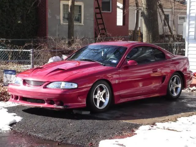 waxed3.webp