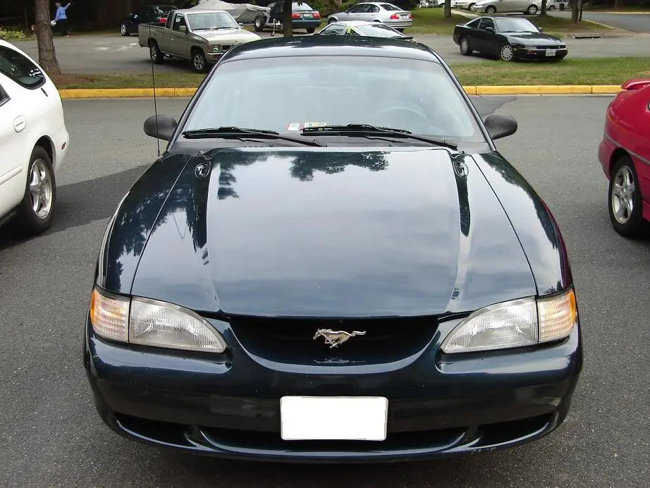 waxed3.webp