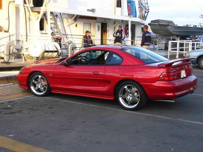 waxed5.webp