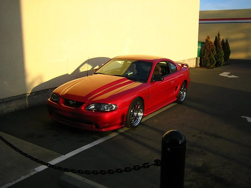 waxed6.webp