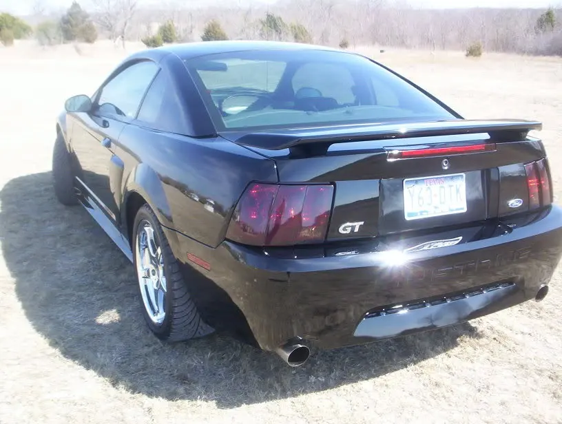 WesleysMustang006.webp