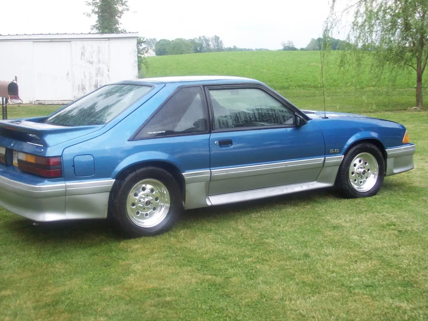 wet stang.webp