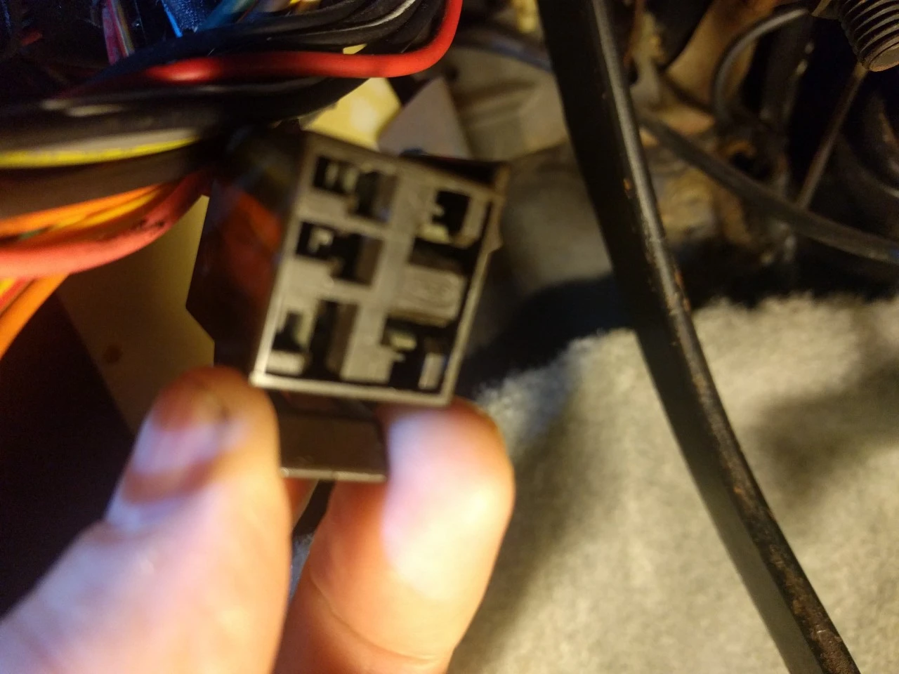 whatisthis.webp