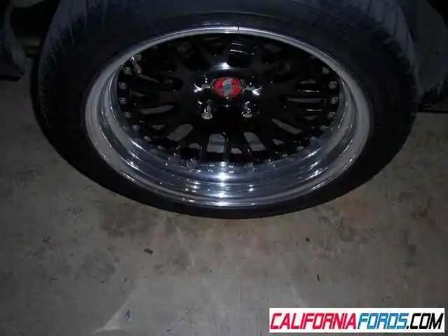 wheeldish.webp