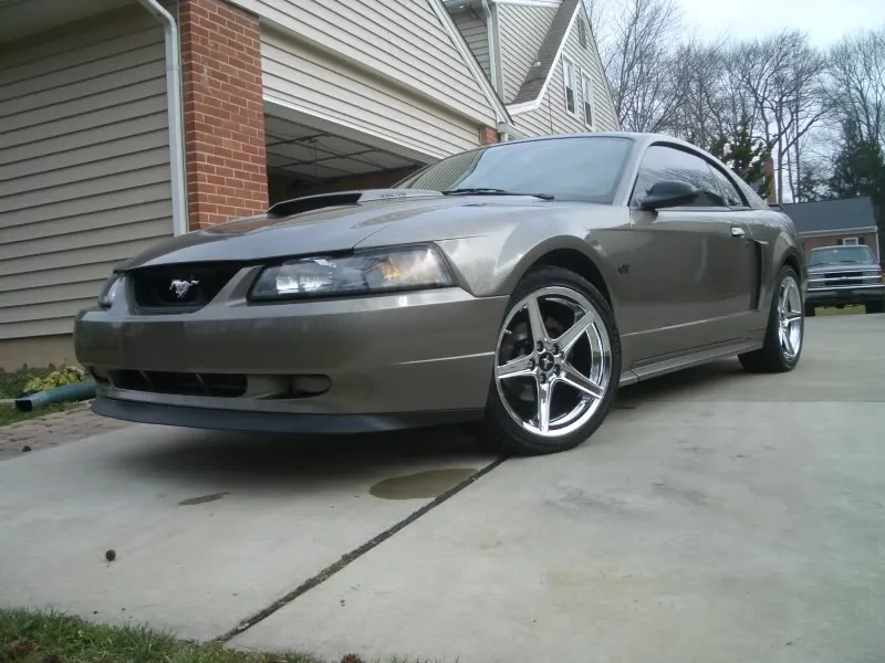 wheelsandstang31507008.webp