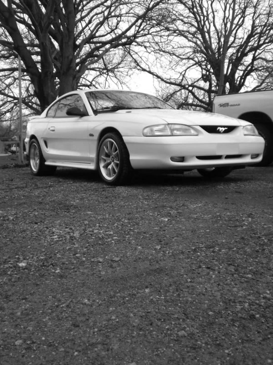 Wheelspics066.webp