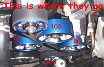 where-they-go.webp