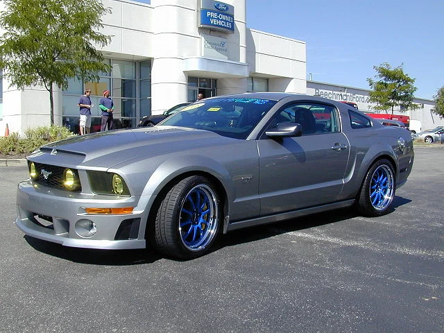 whip8.webp