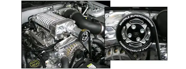 whipple05Mustang.webp