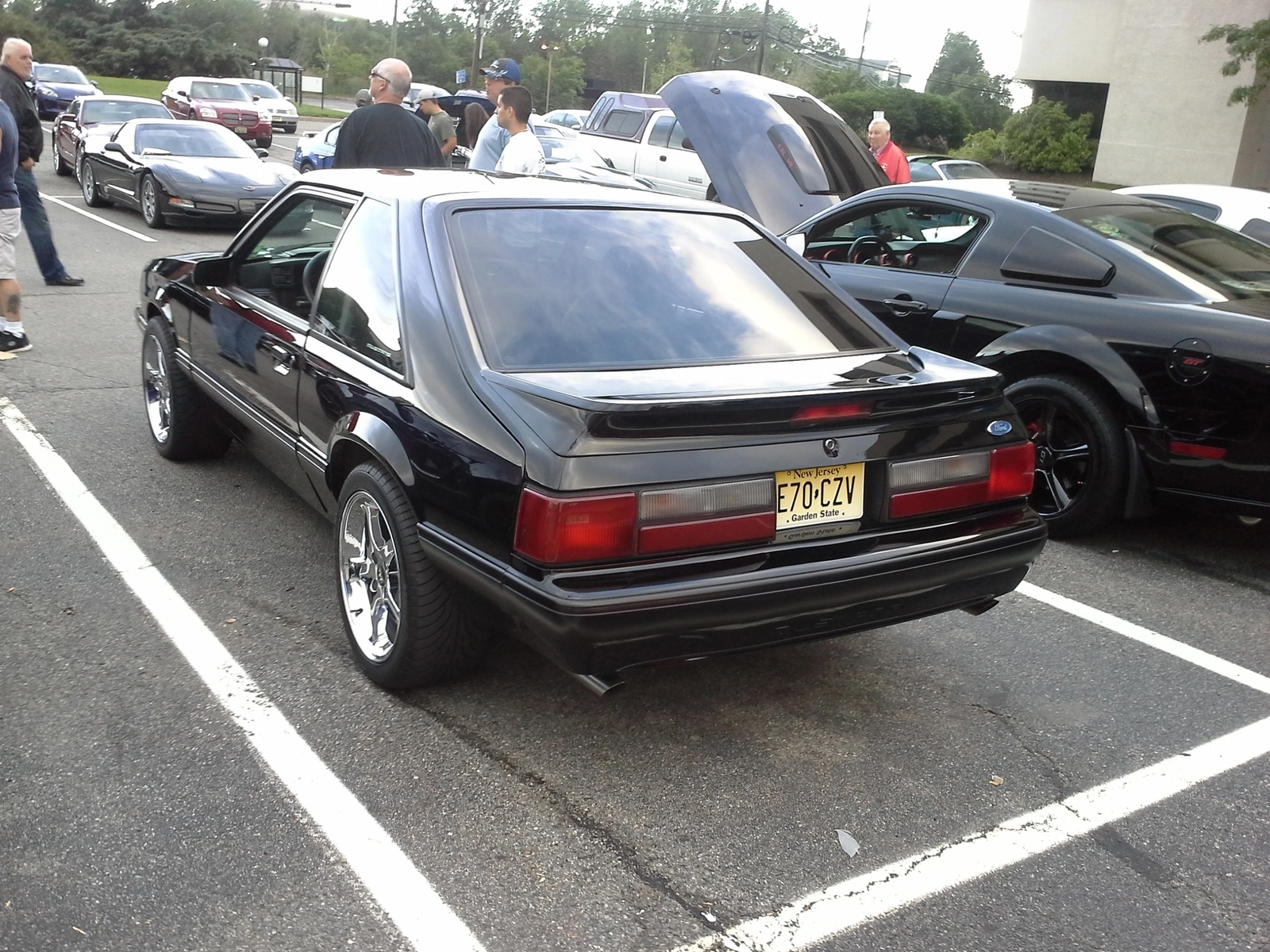 whiskey rear.webp