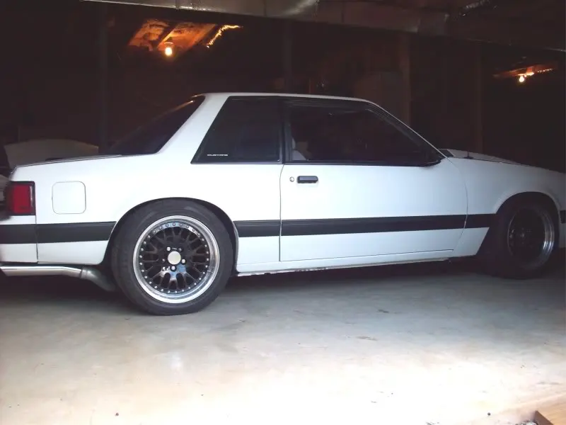 white5.webp