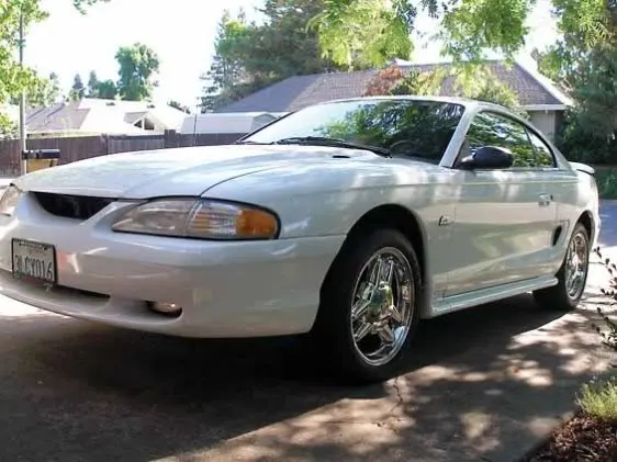 white50.webp