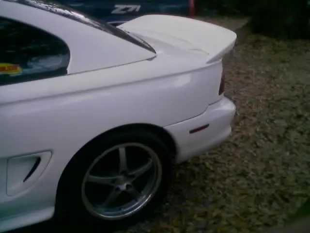 white95rear.webp