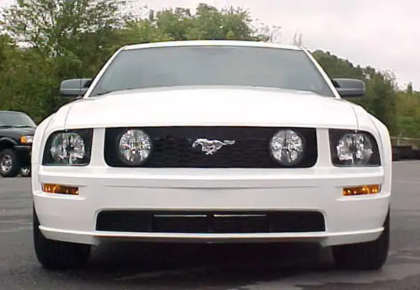 WhiteGT-11.webp