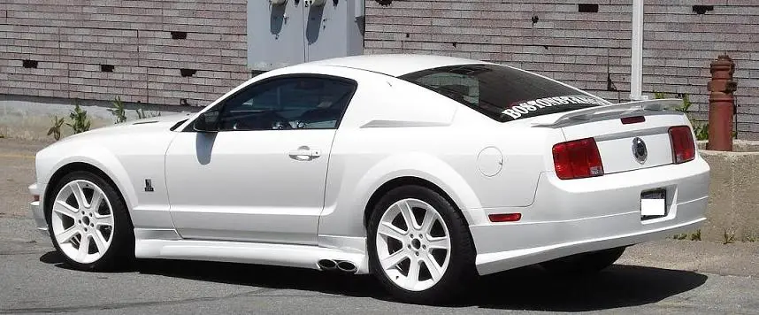 whitestang.webp