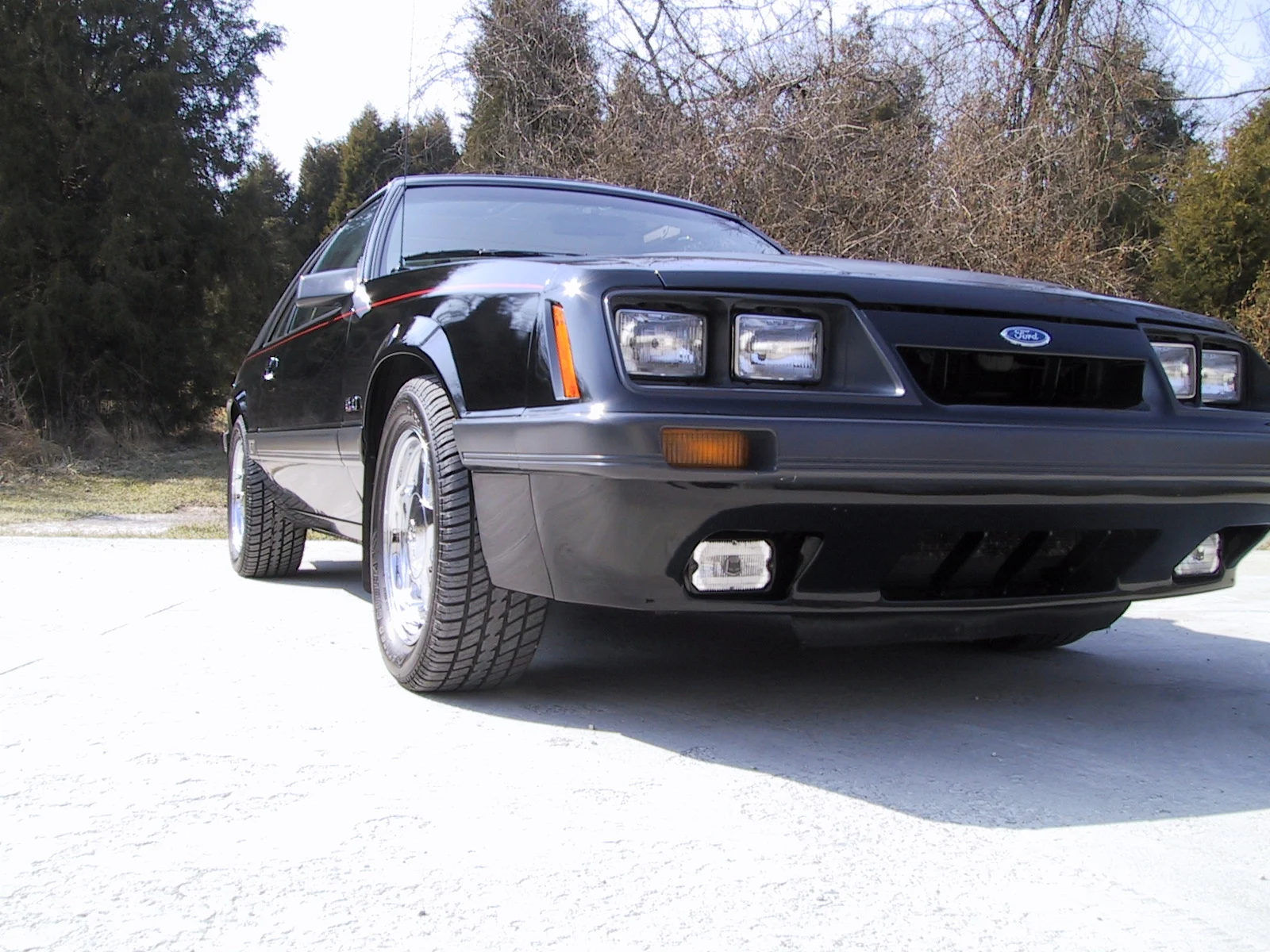 whittni and my mustang 015.webp