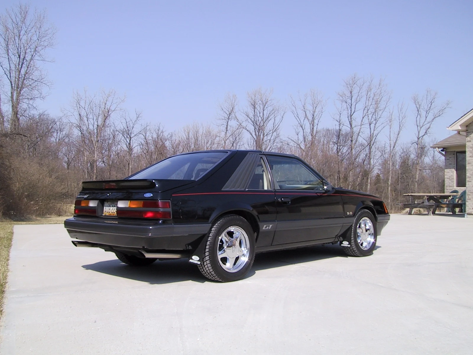 whittni and my mustang 017.webp