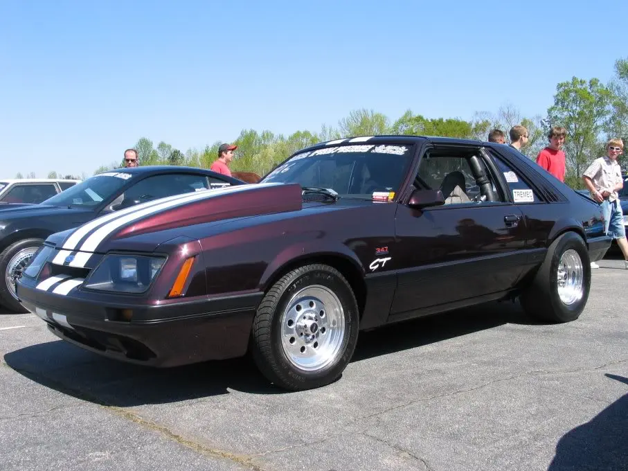 wickdgt.webp