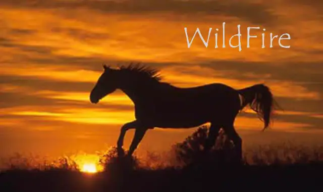 WildfirePlate.webp