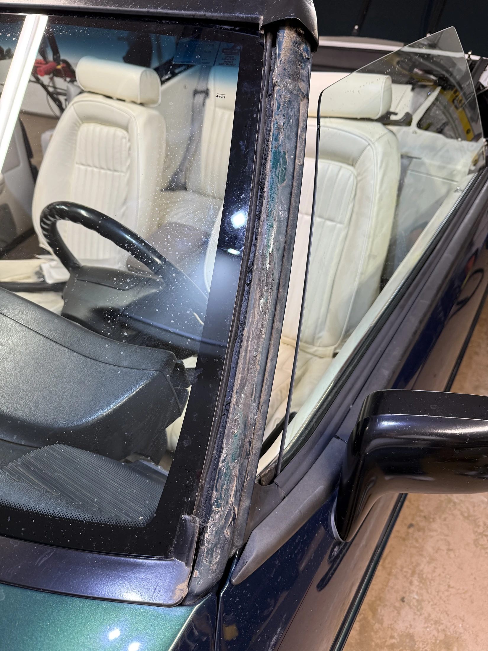 windshield_no_trim.webp