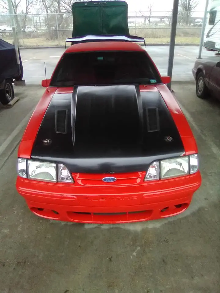 wing front.jpg