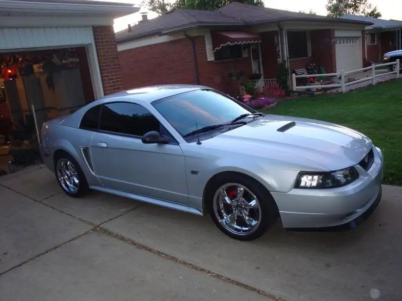 wingless2.webp