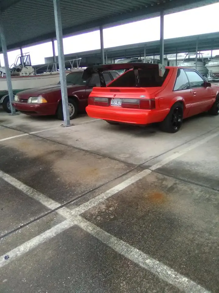wingrear.jpg