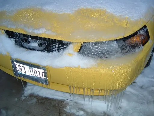 Winter04053.webp