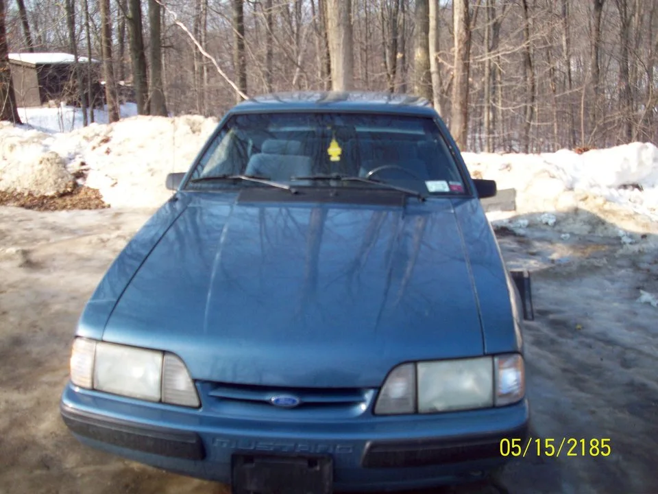 winterpics049tm6.webp