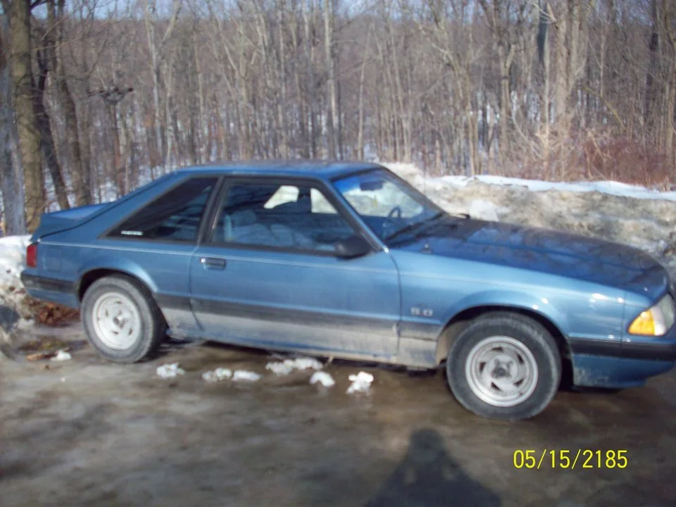 winterpics052fd2.webp