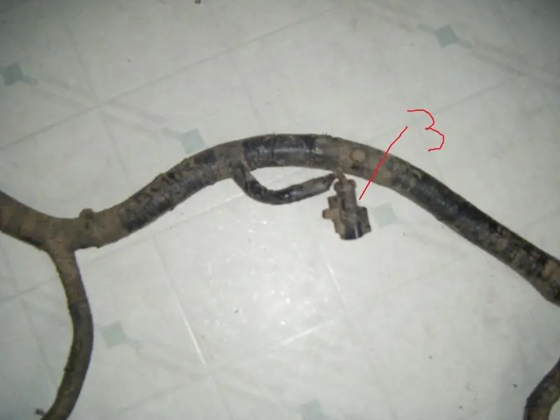 wire3.webp