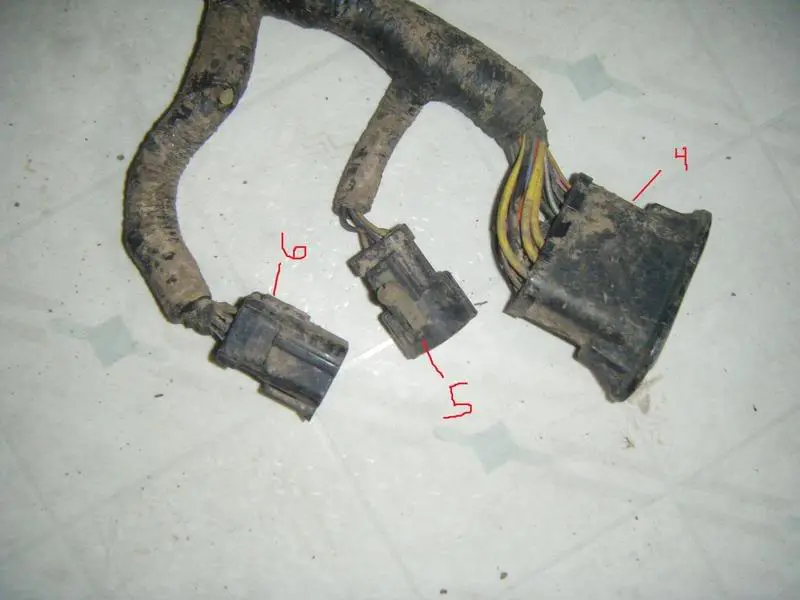 wire456.webp